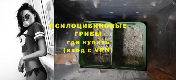 прущие грибы Зерноград
