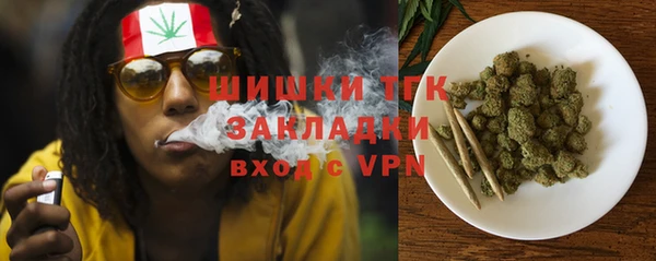 амф Зеленодольск