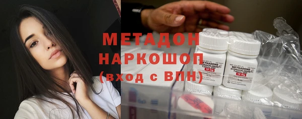 прущие грибы Зерноград