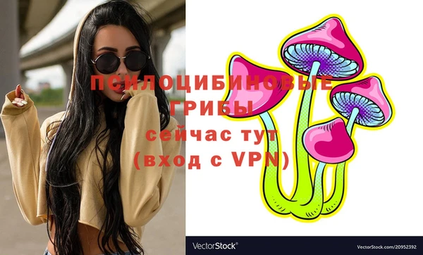 амф Зеленодольск