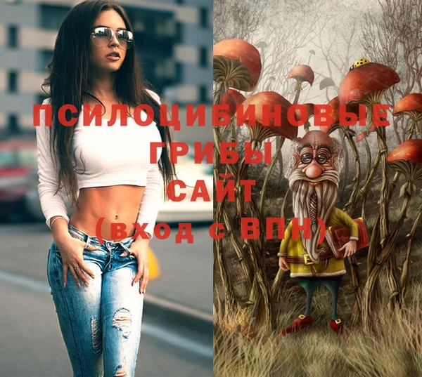 амф Зеленодольск
