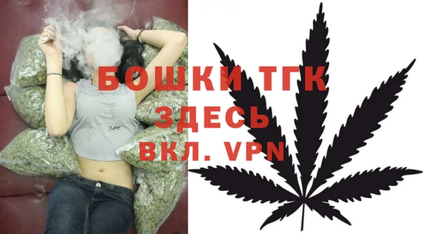прущие грибы Зерноград